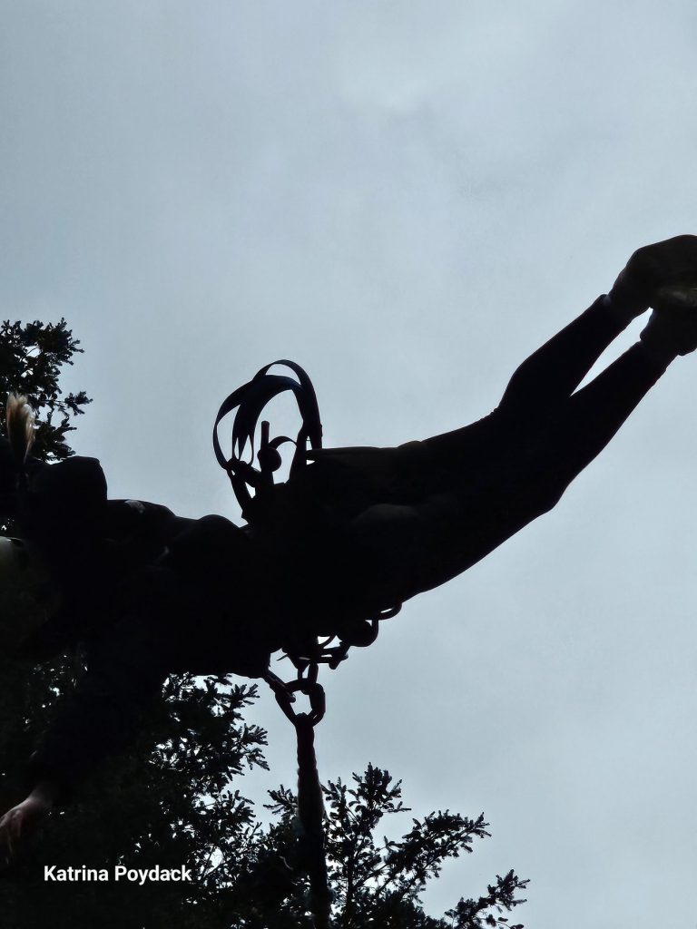 out n about tarzan swing 768x1024