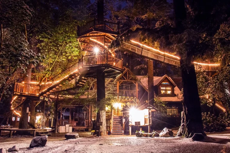 out n about treehouse treesort pleasantree treehouse southern oregon 768x512